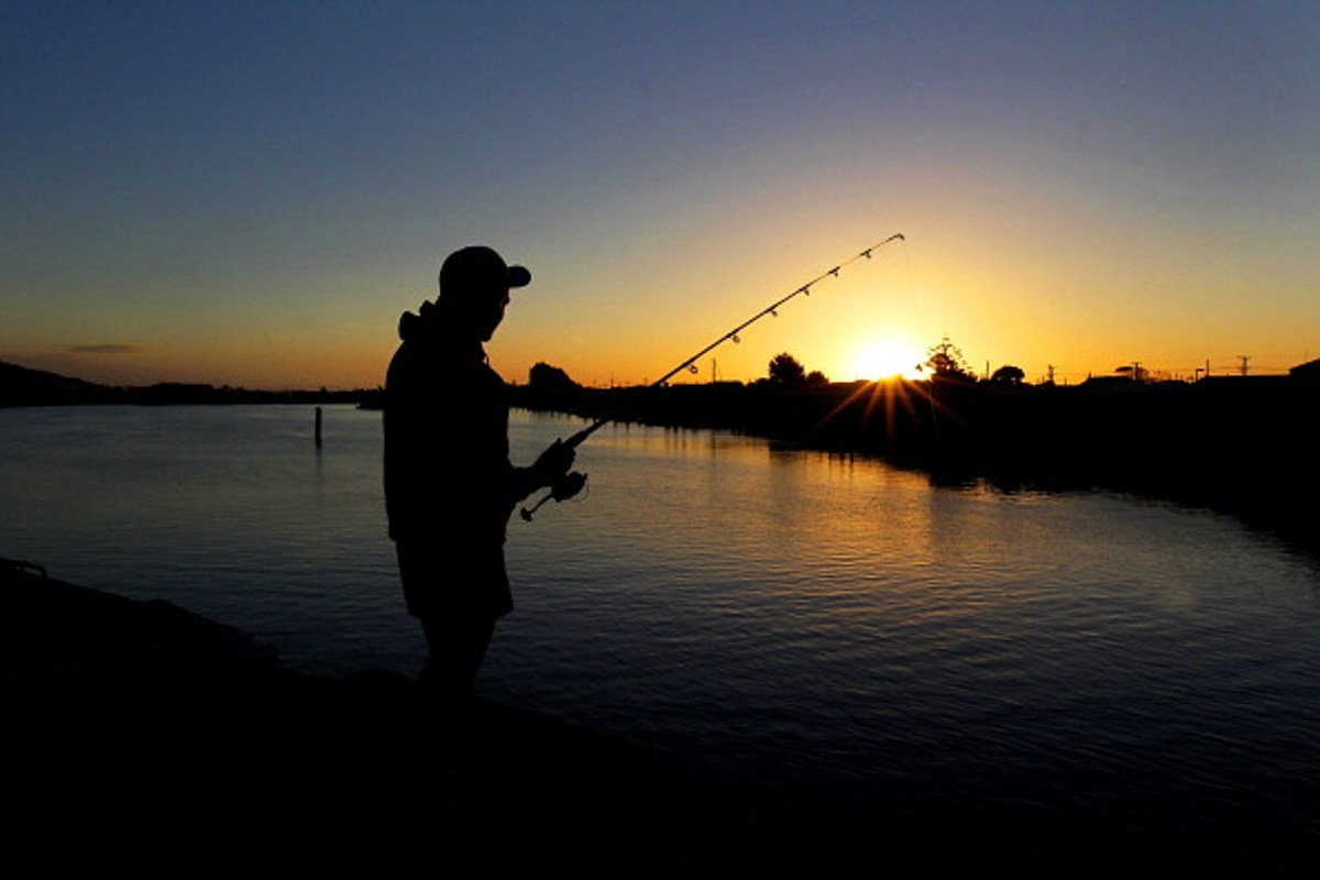 Спокойной ночи рыбаки