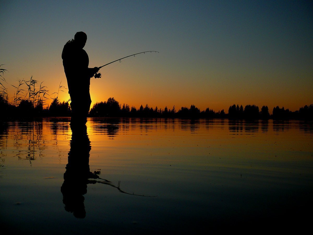 Ал Агнев картины