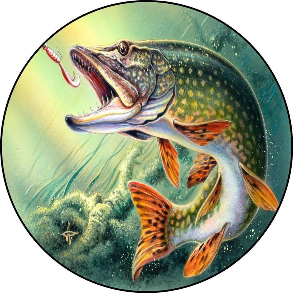 Лодка для рыбалки