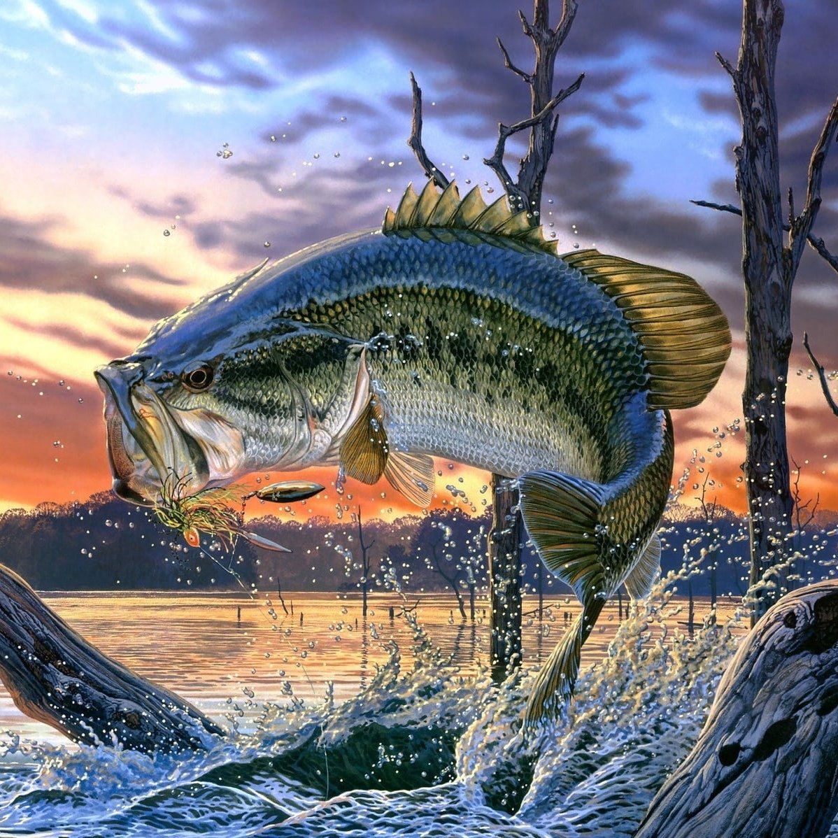 Аватарки Рыбная тематика