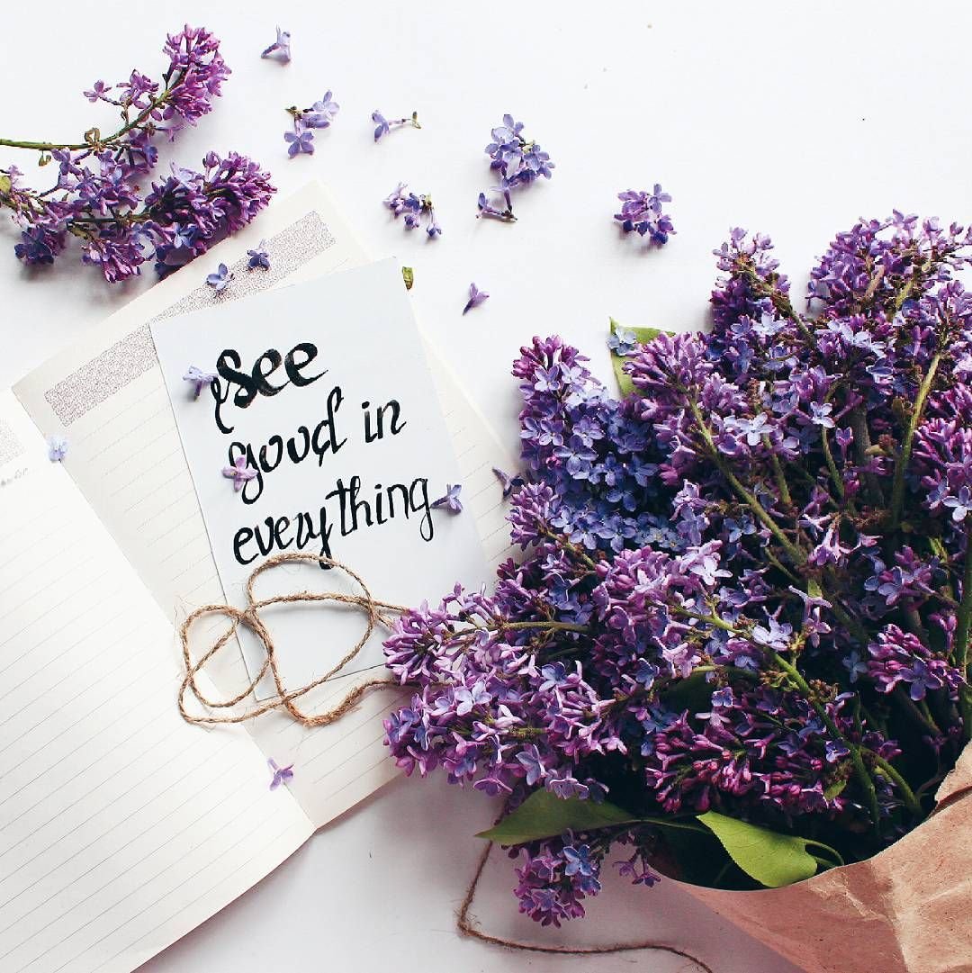 Сирень флэтлэй