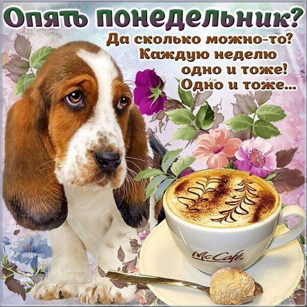 Открытки с понедельником