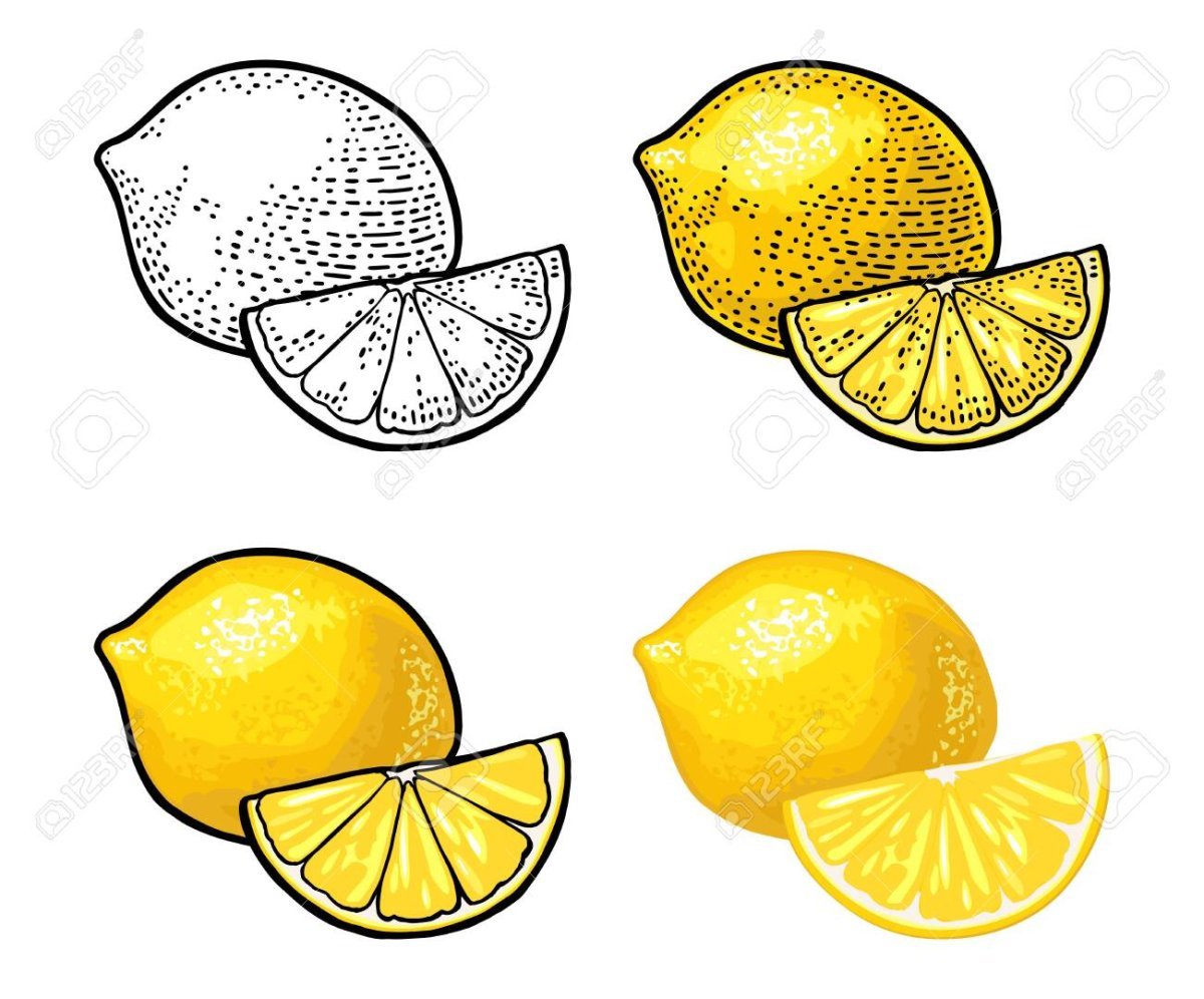 Фрукты лимон