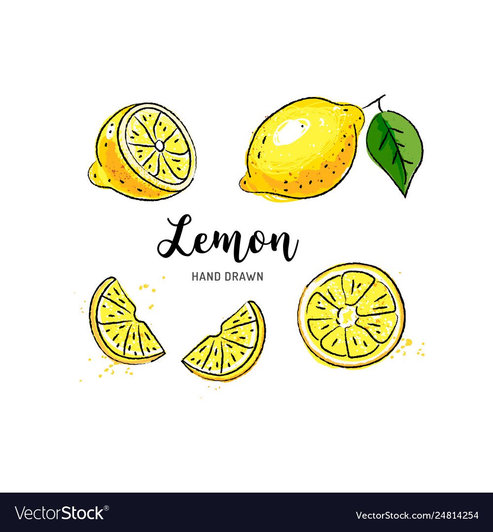 Долька лимона эскиз