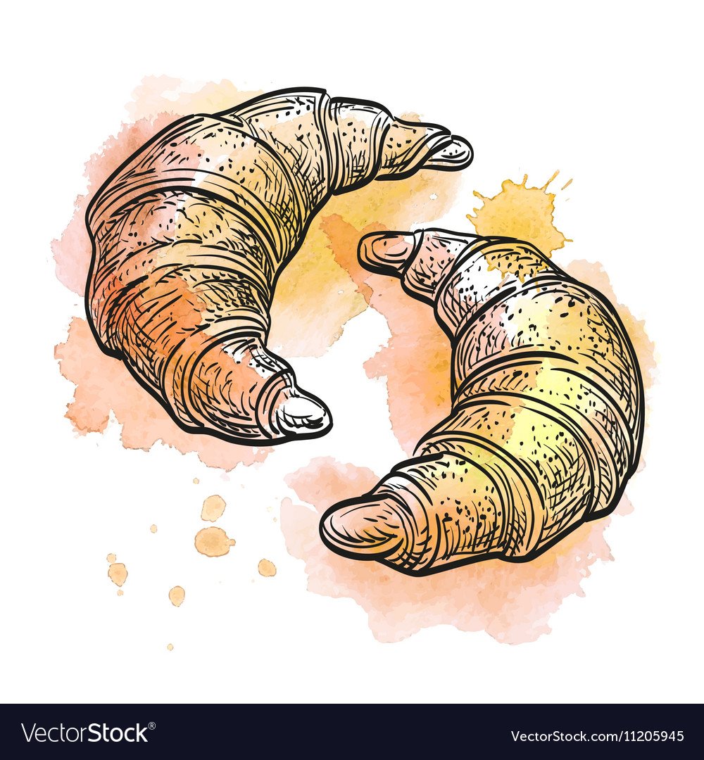 Круассан illustration вектор