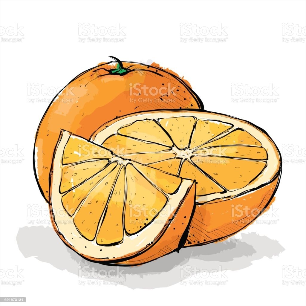 Скетчинг апельсин для детей 8 лет