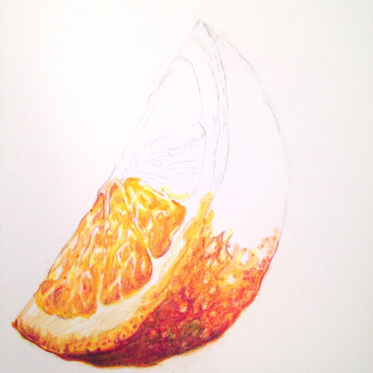 Долька апельсина акварель