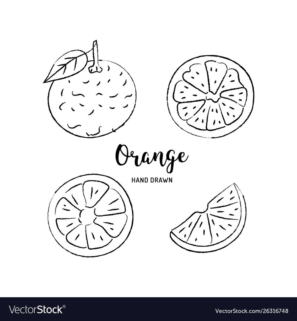 Фрукты маркерами