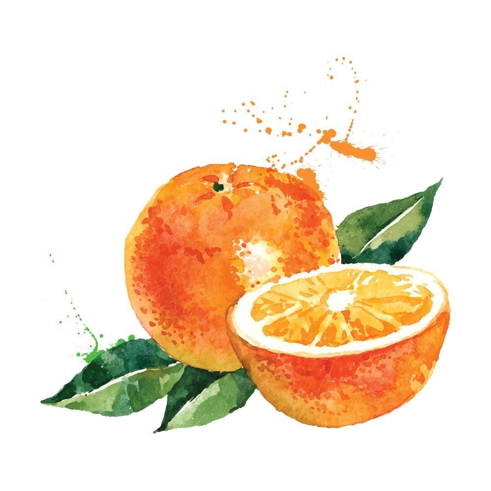 Апельсин акварелью