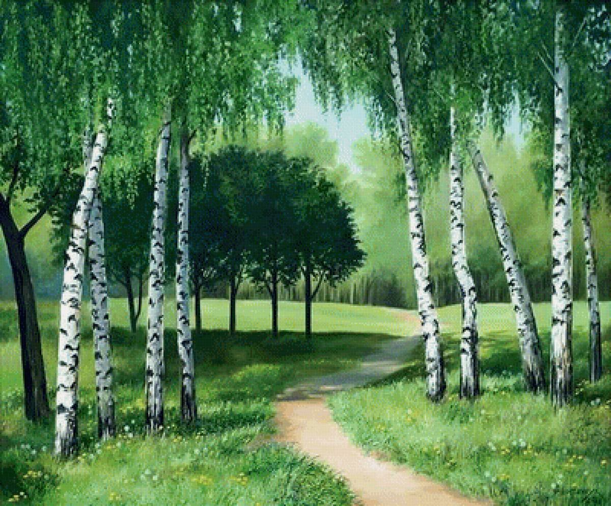 Березовая роща Заболотский