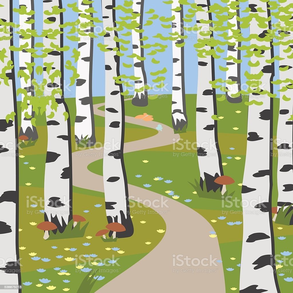 Рисование березы для дошкольников