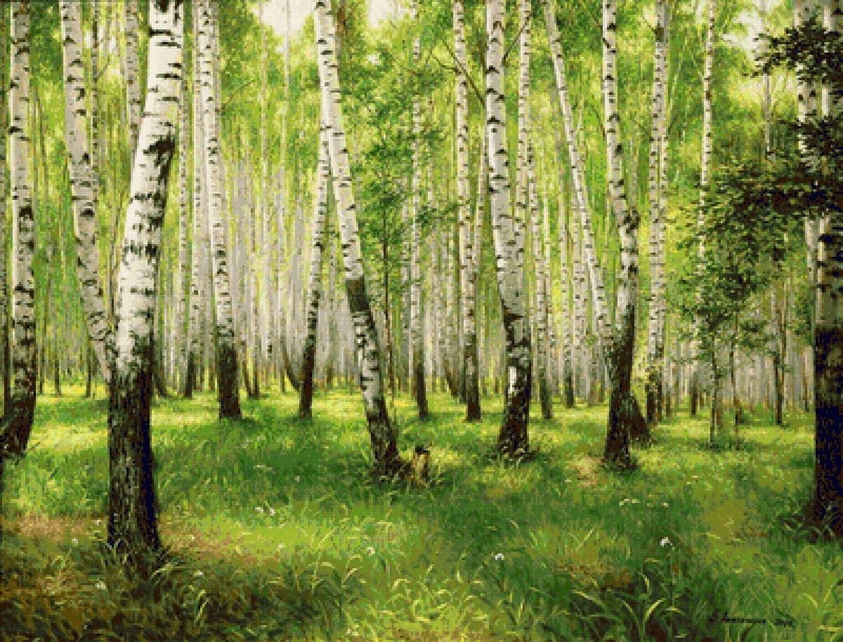 Осенний березовый лес