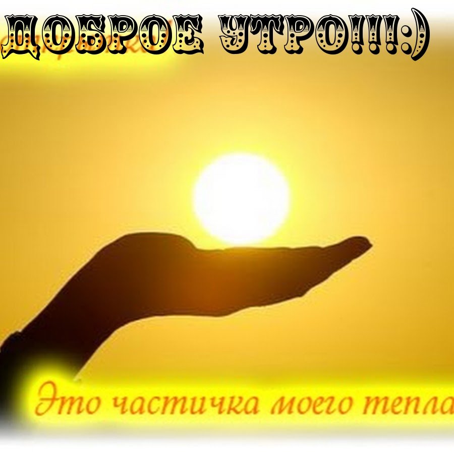 Смешные цитаты на каждый день