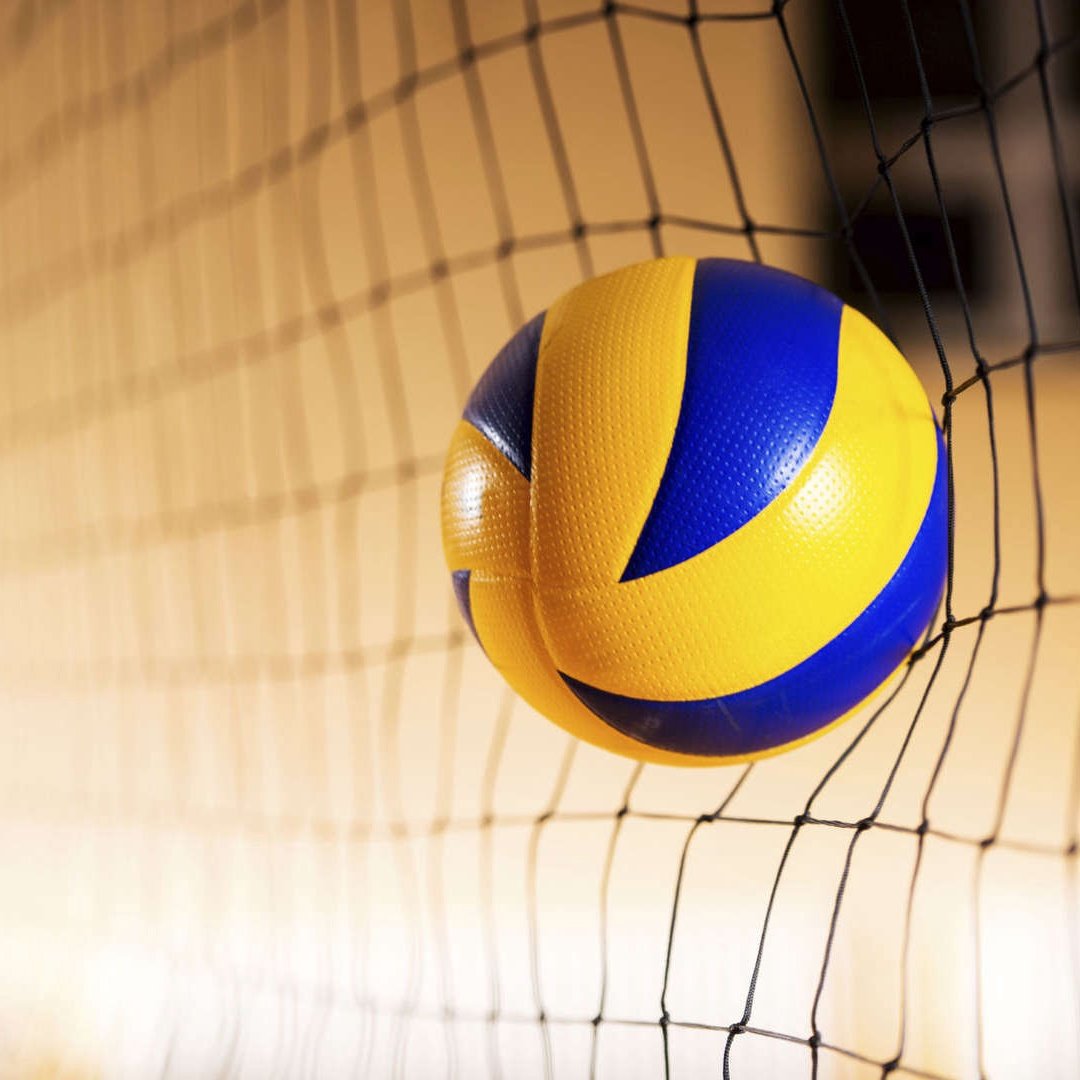 Волейбол Графика