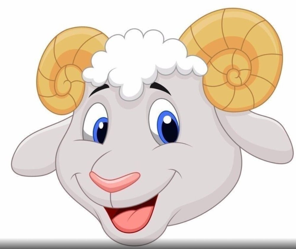 Овца с ягненком на белом фоне