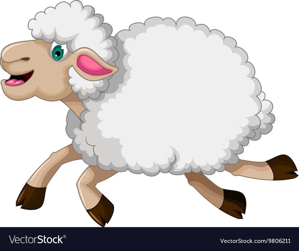 Овечка смешная на прозрачном фоне