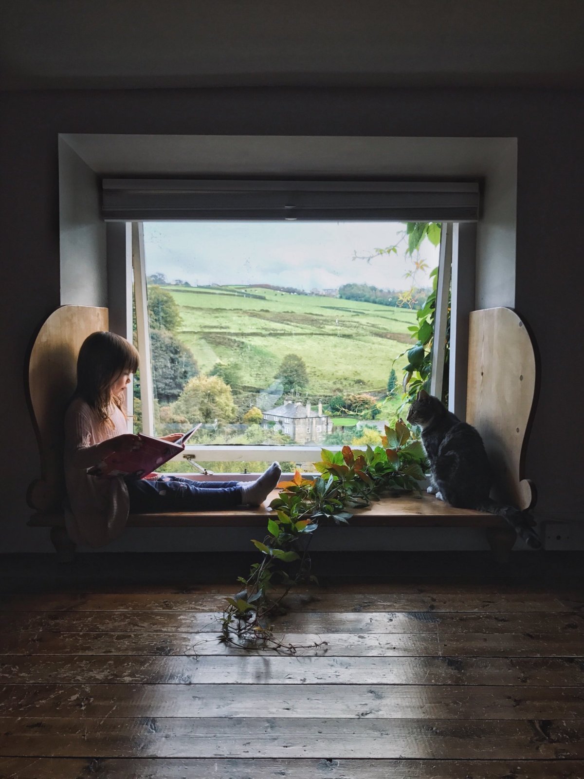 Уютный вид из окна