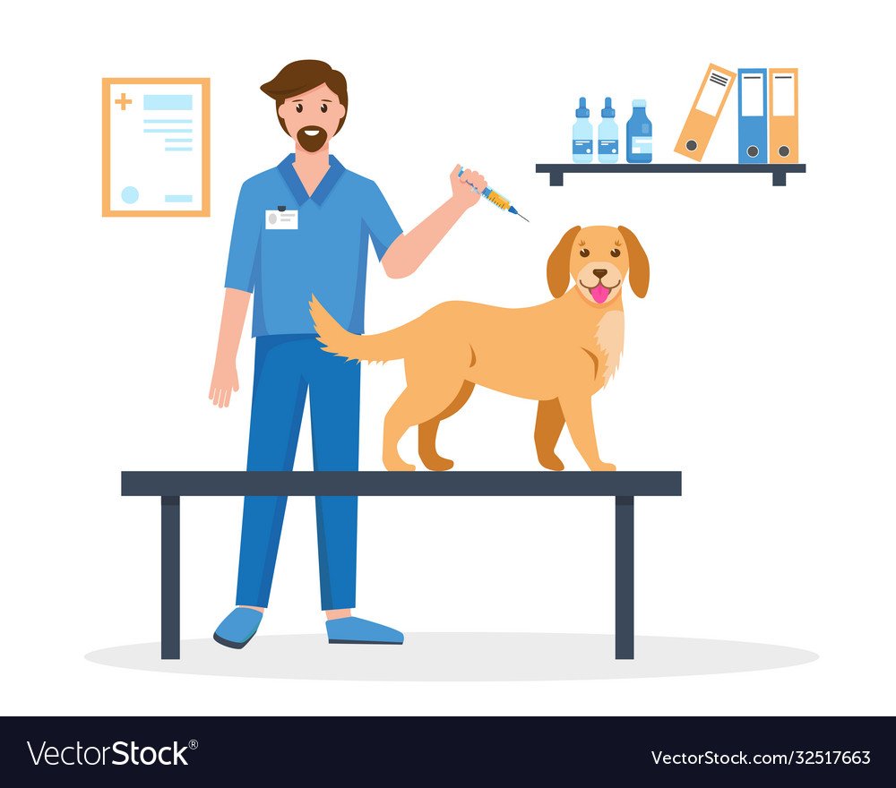 Ветеринар векторное изображение