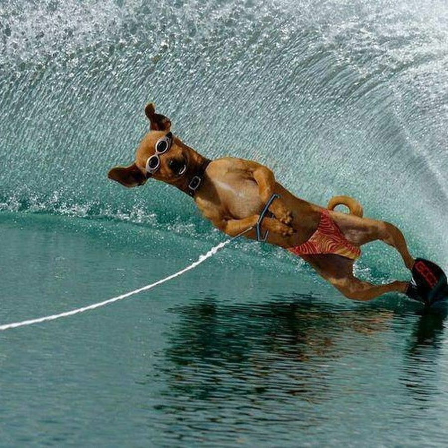 Обезьяна с бананом