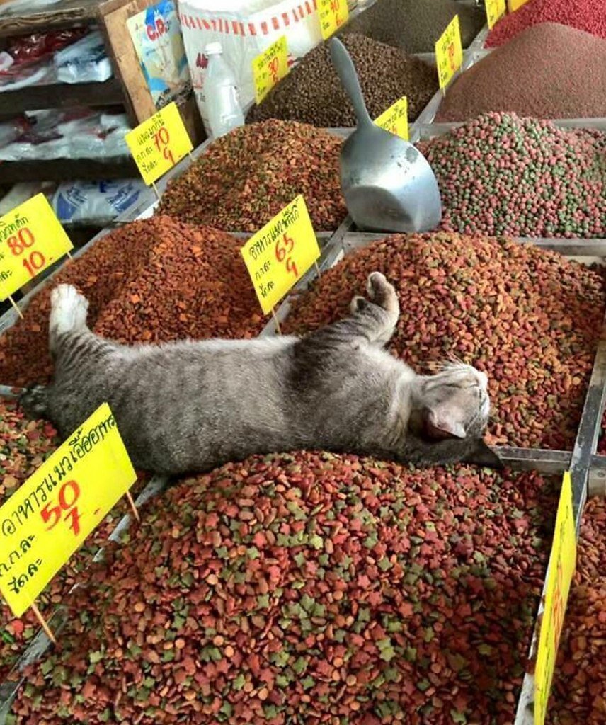 Я В отпуске