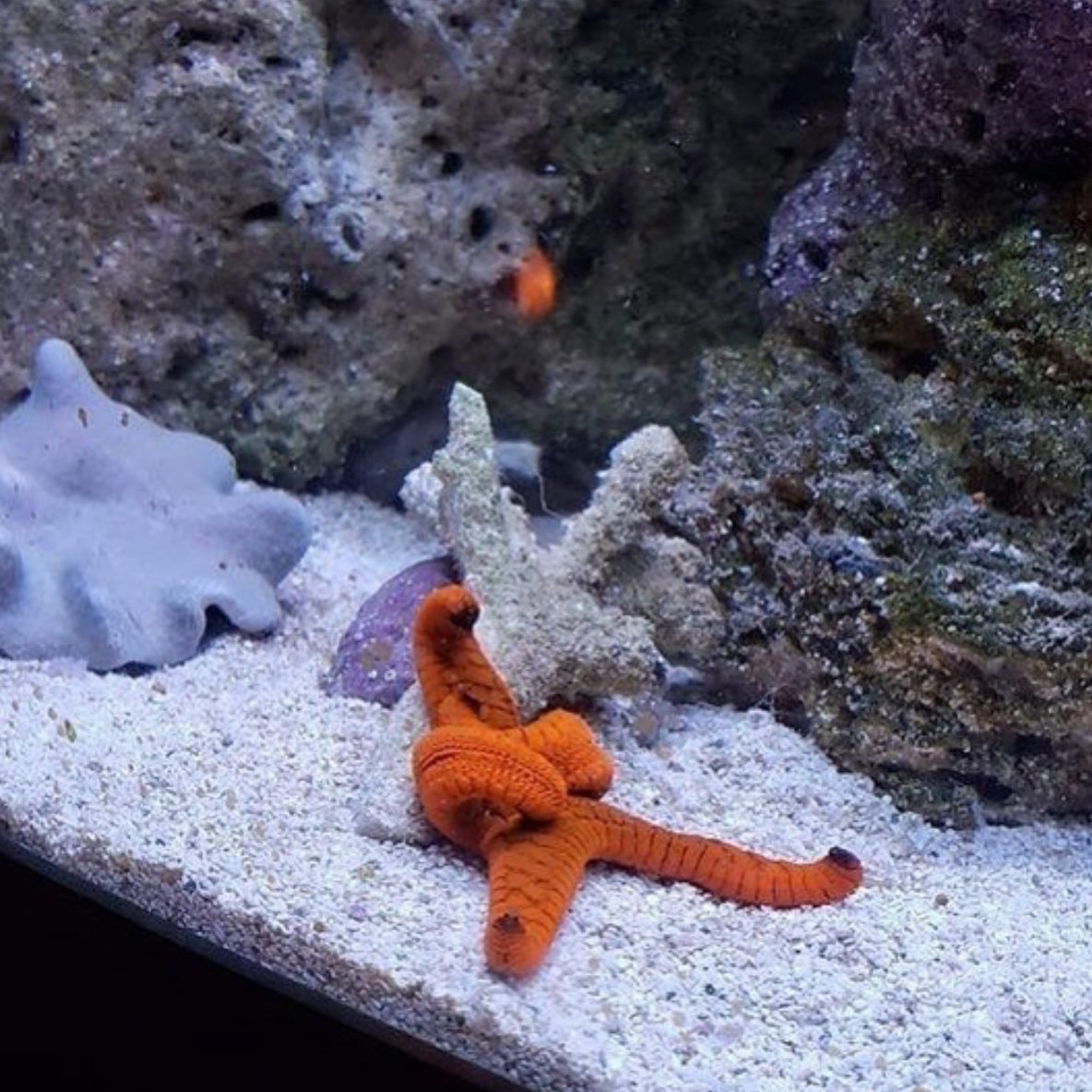 С днём рождения 45 лет женщине прикольные