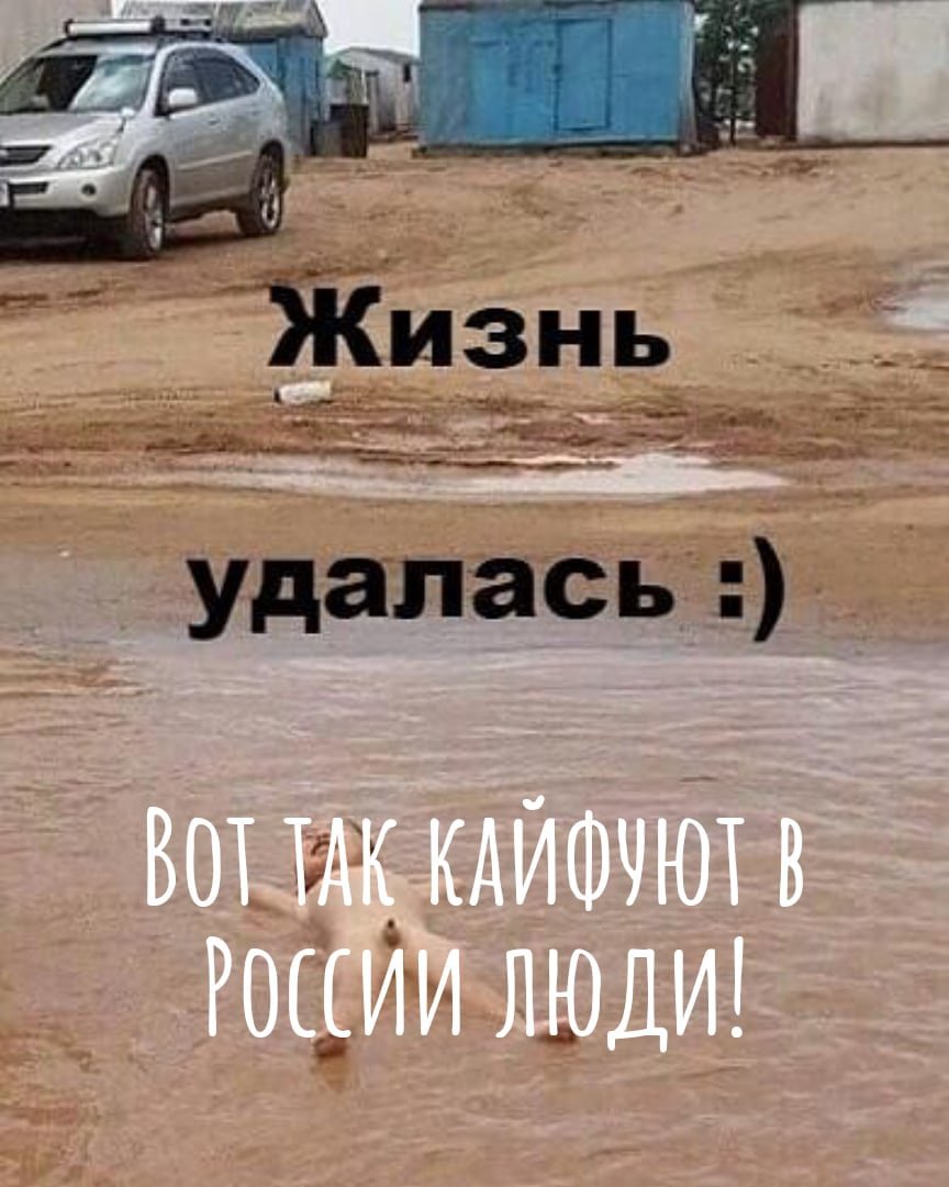 Кот и валерьянка