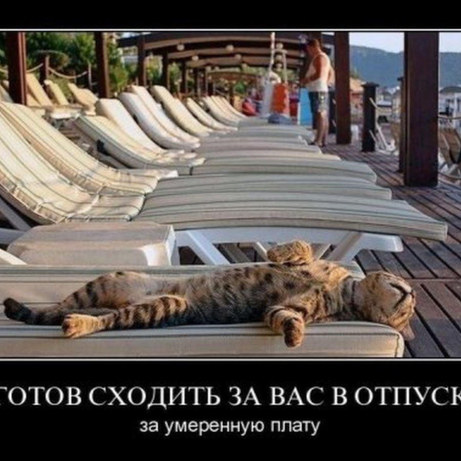 Николай Кулыгин коты картины