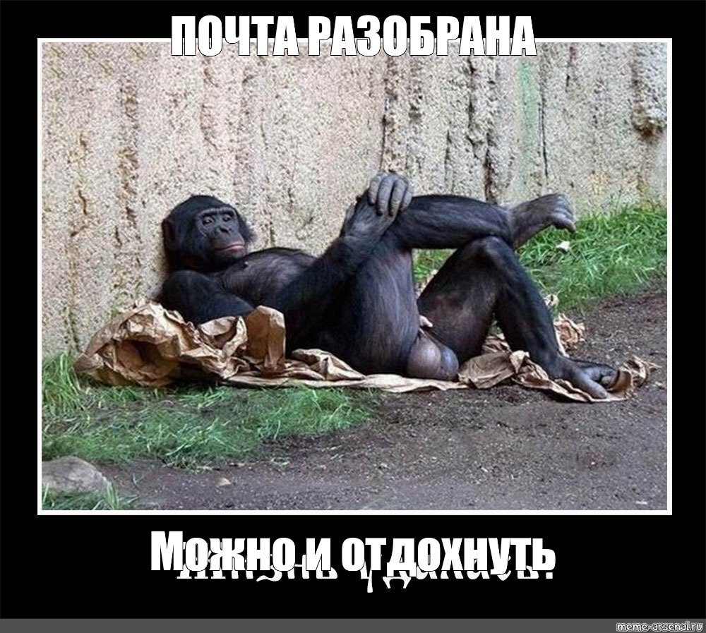 Собака в отпуске