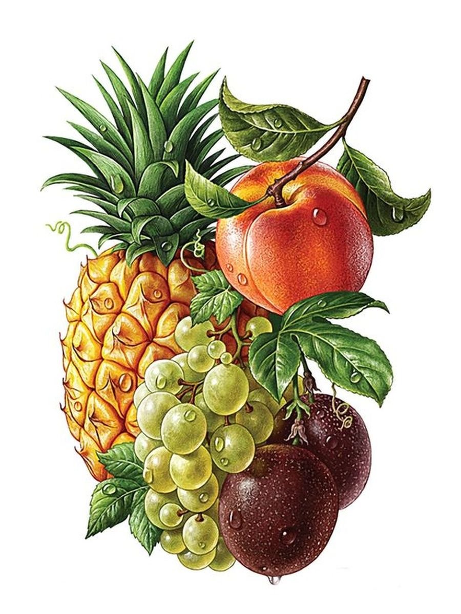 Фрукты для детей дошкольного возраста