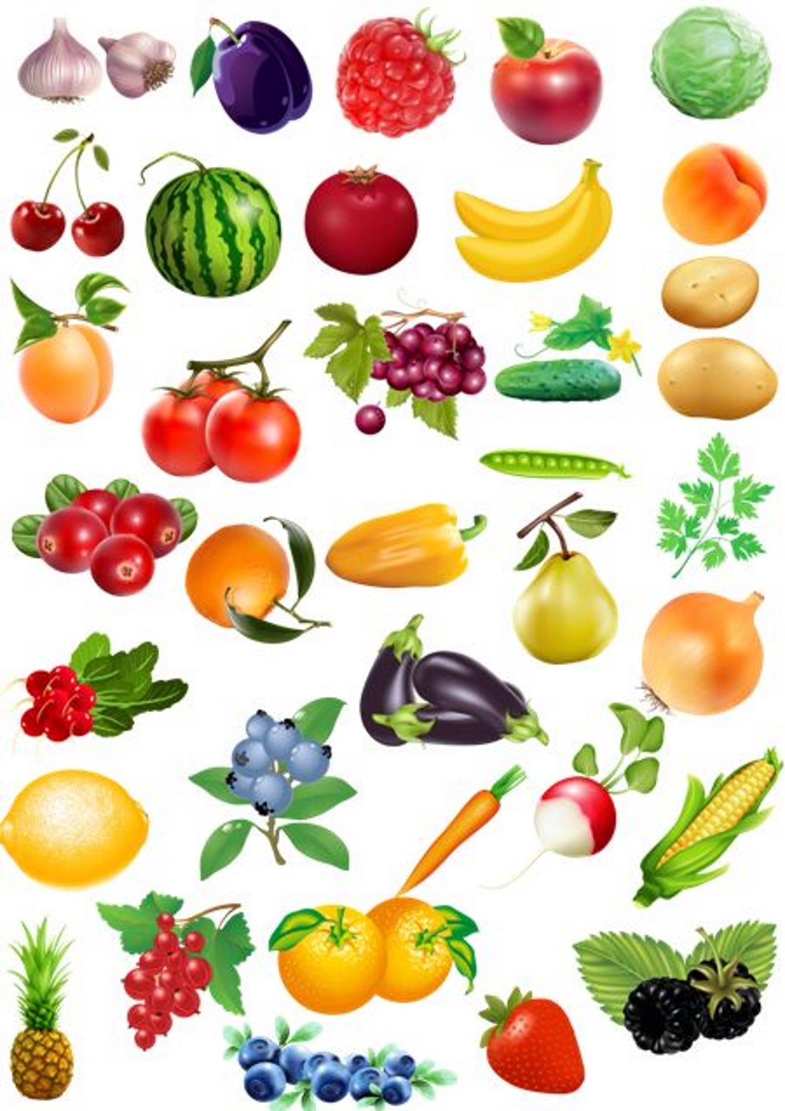 Фруктовые деревья для дошкольников