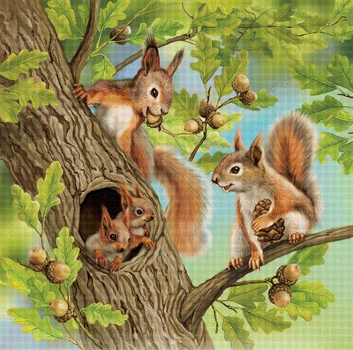 Белка с бельчатами