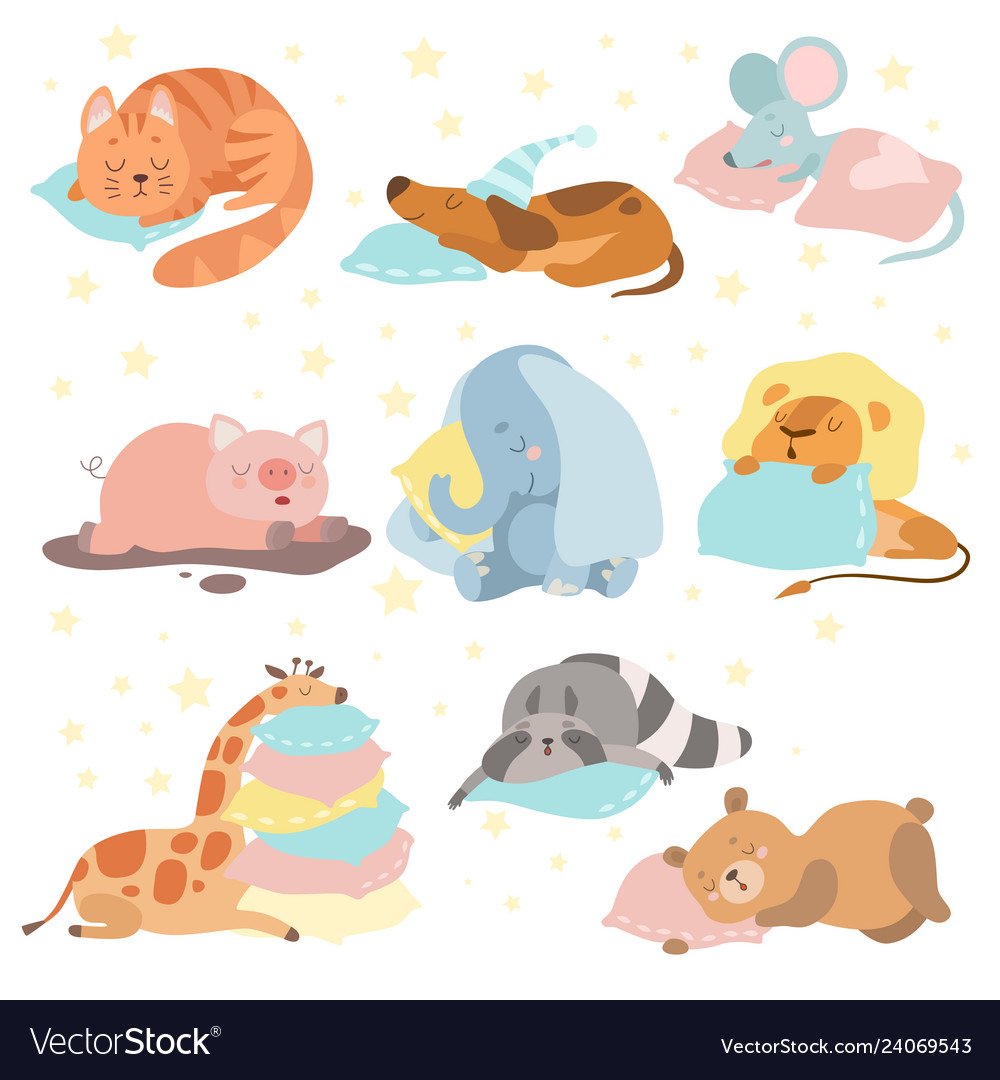 Мишка спит в колпачке