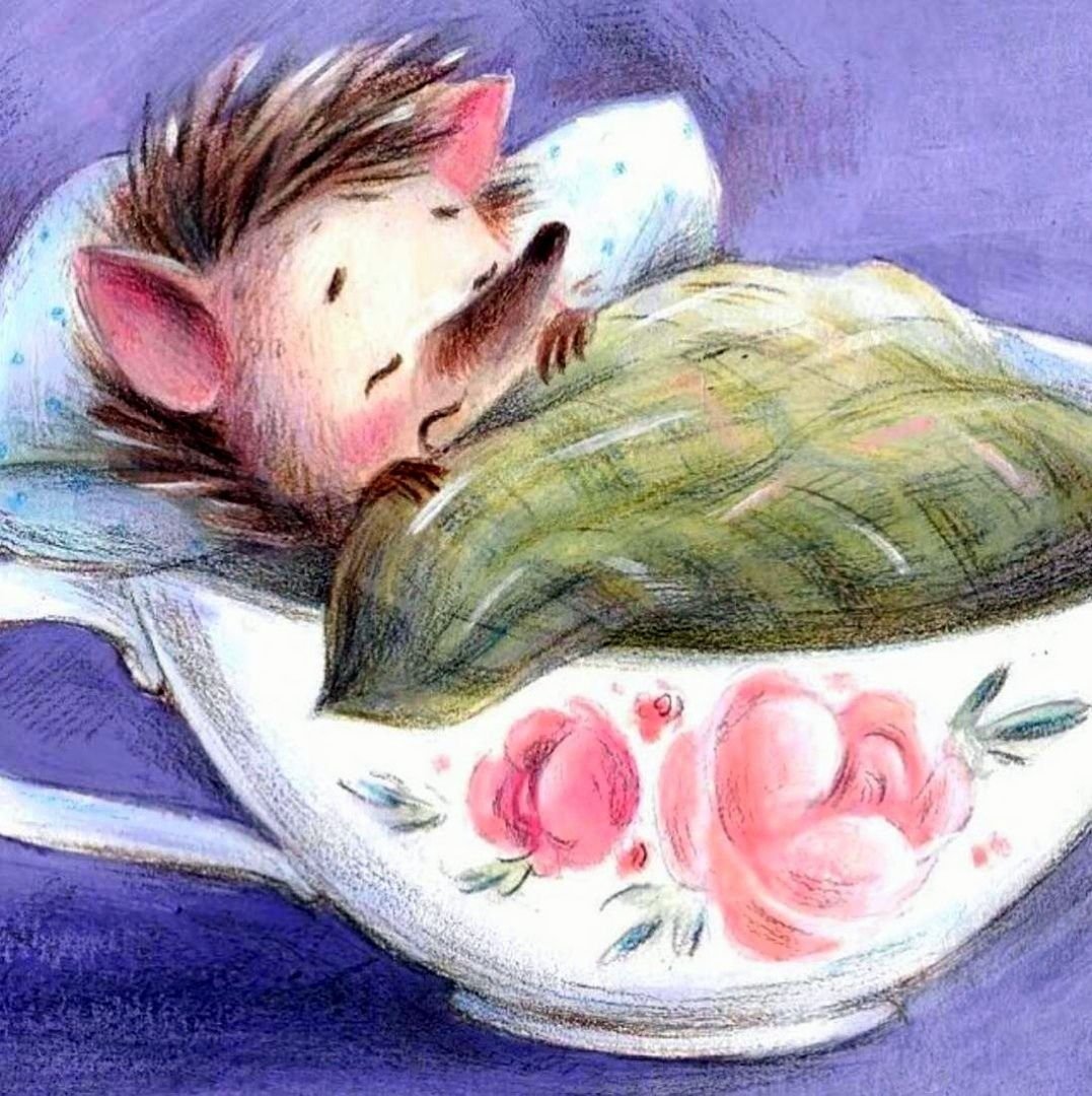 Спокойной ночи, кошки,собаки