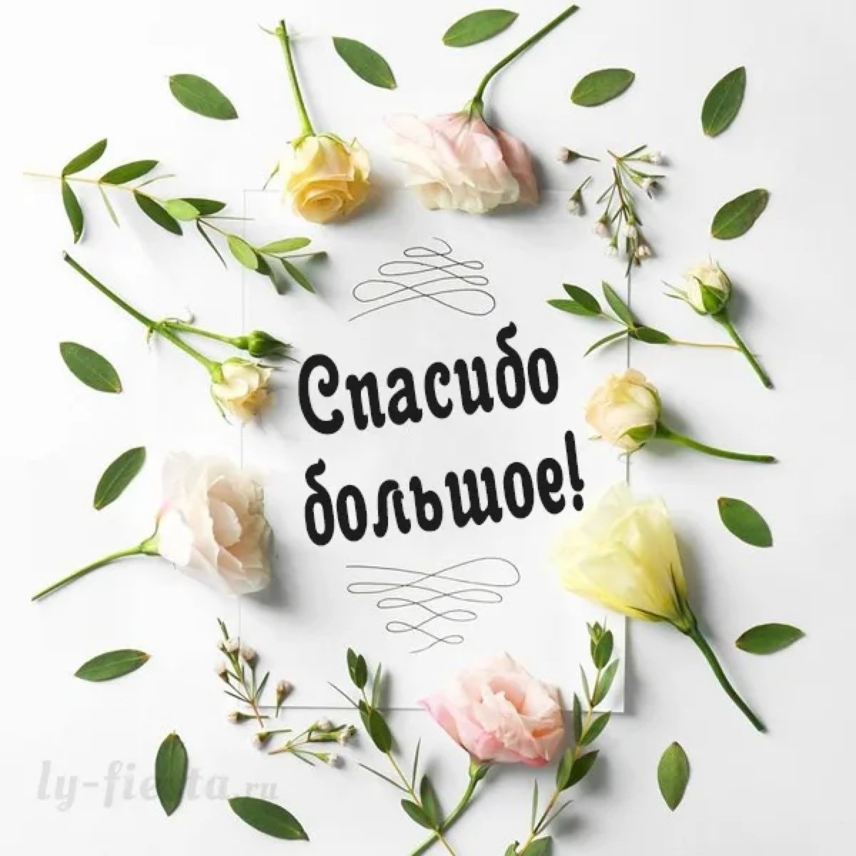 Фон спасибо