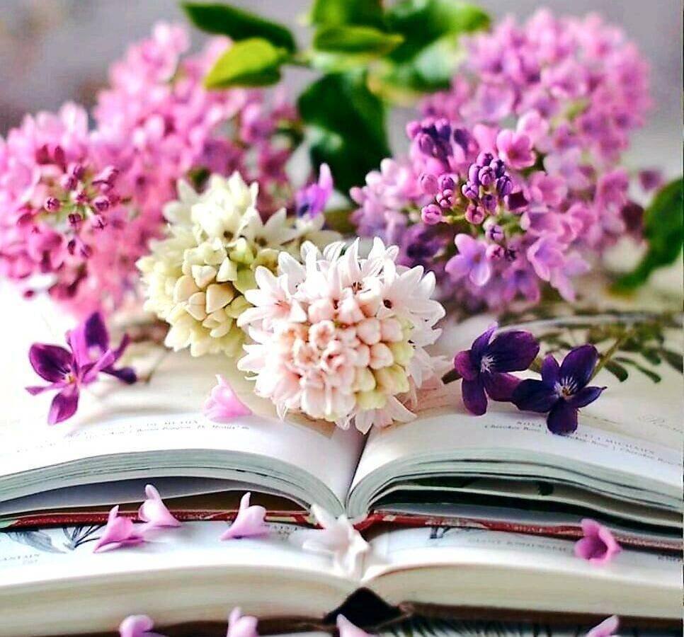Книга цветы