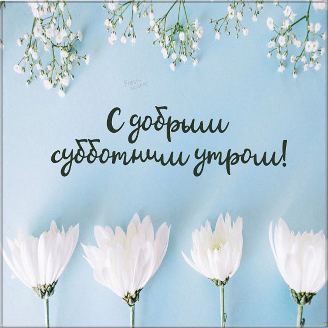 Доброго субботнего утра картинки новые