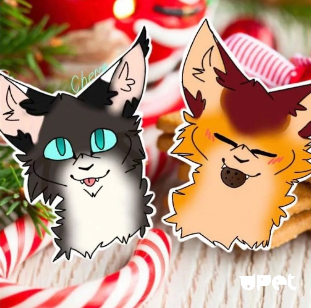 Коты Воители новый год