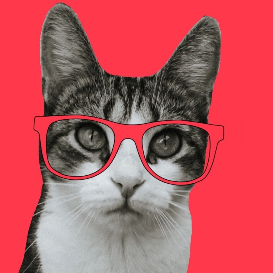 Кошка мята из лайка