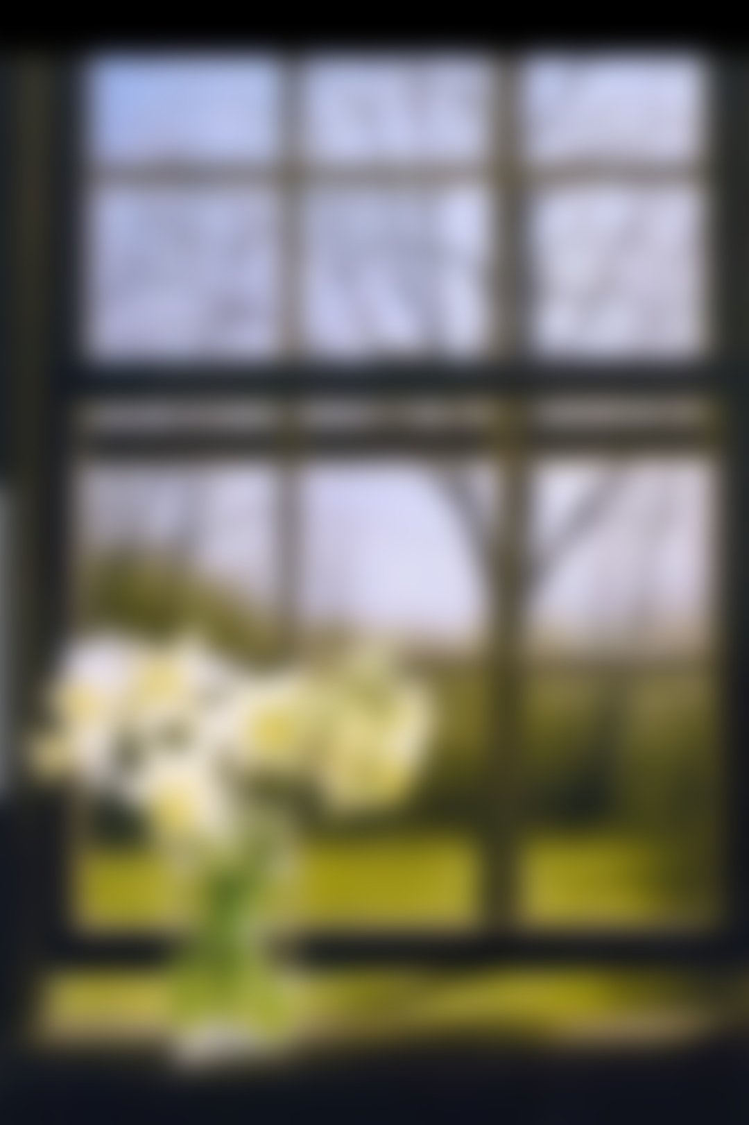 Зимние цветы живопись