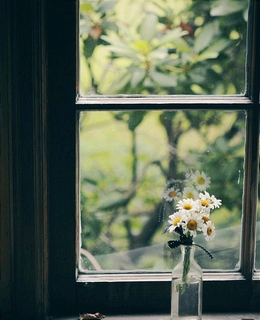 Летний букет цветов на окне