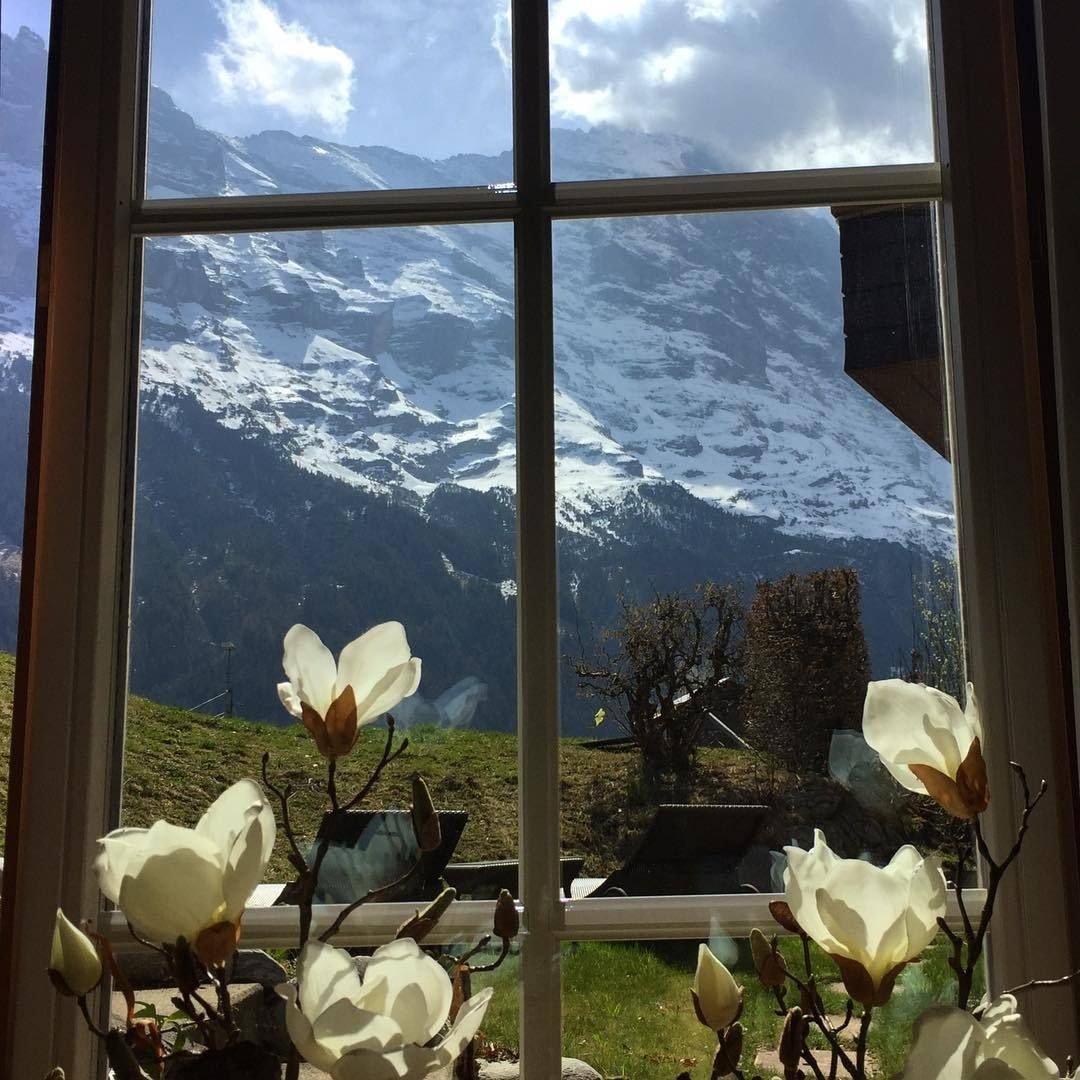 В окошке лето