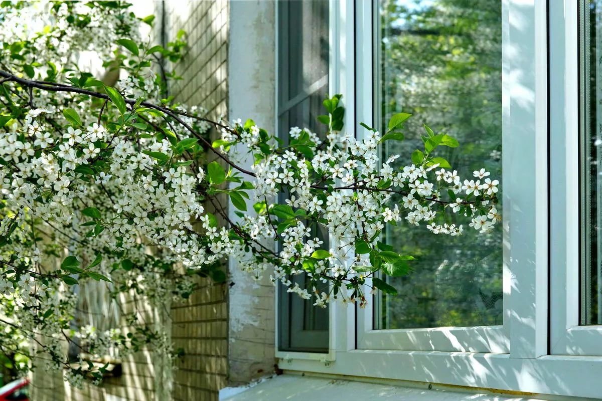 Художник Михаил Горбань (Michael Gorban)