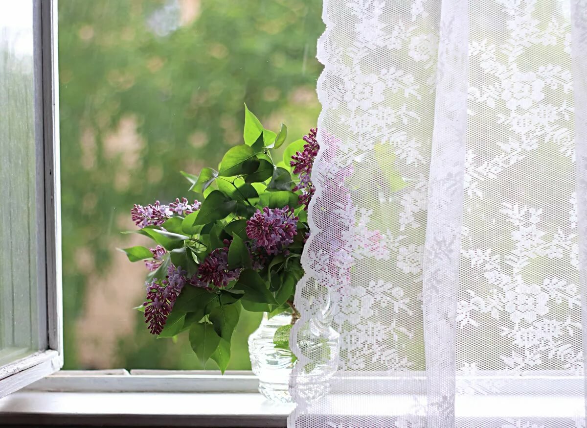 Весеннее окно