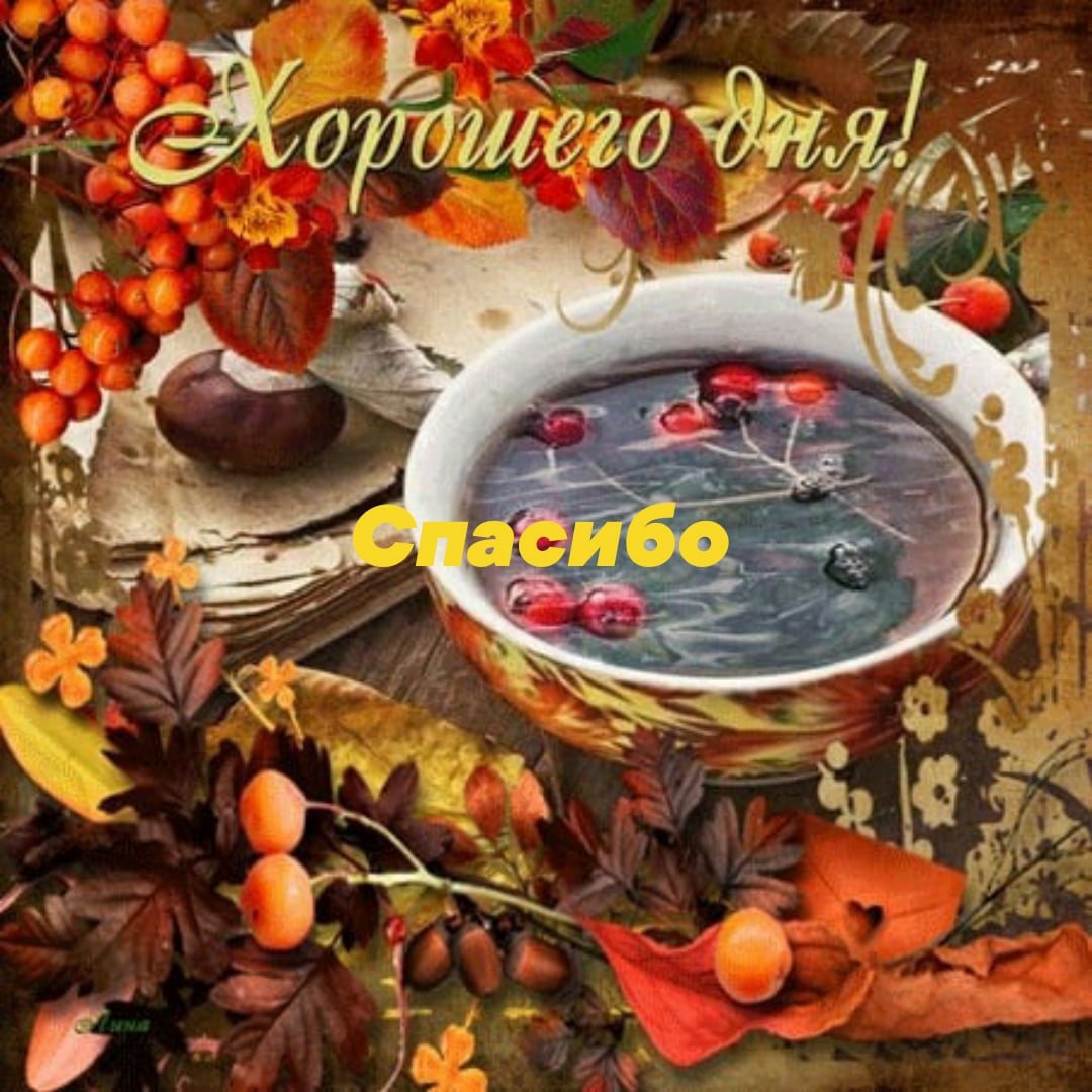 Хорошего осеннего дня и отличного настроения