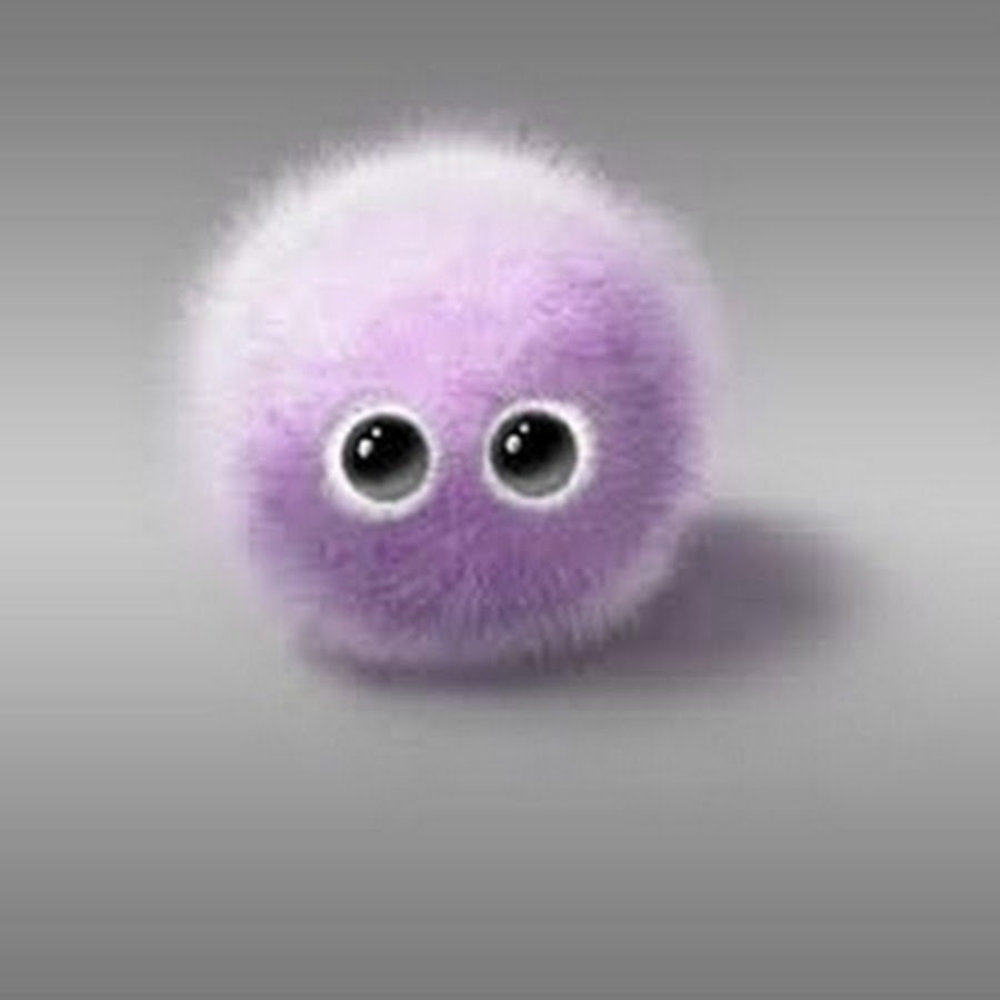 Самый пушистый шпиц