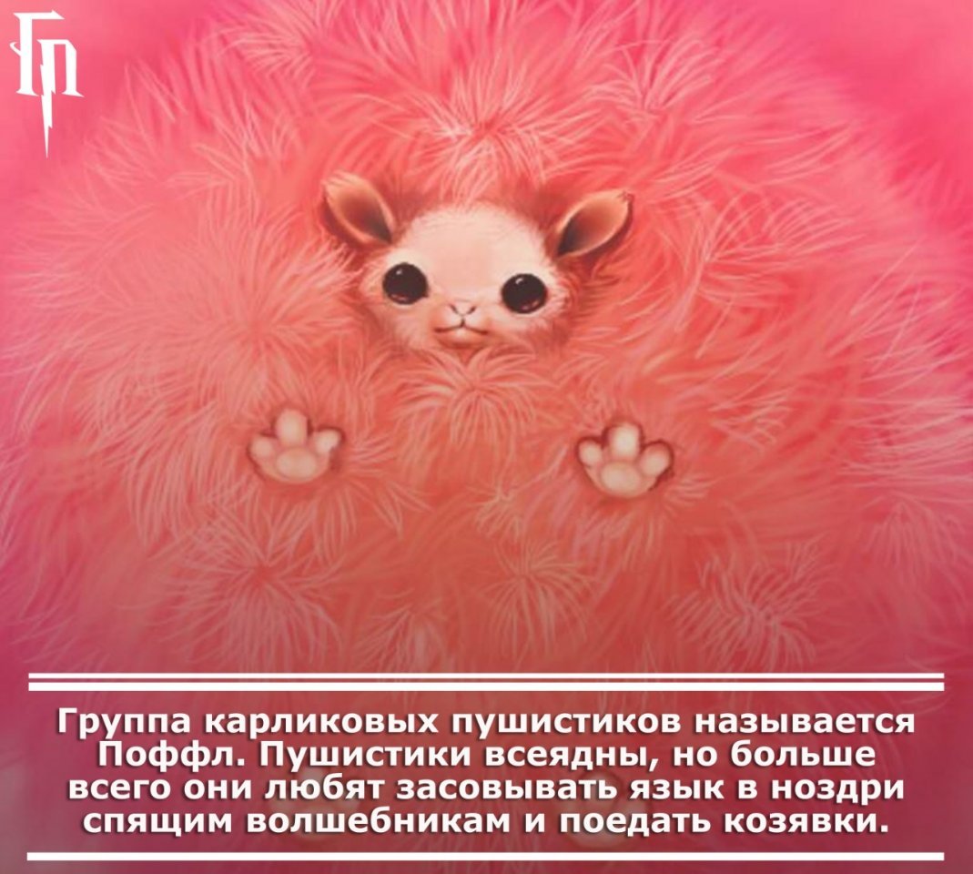 Лисенок из шерсти