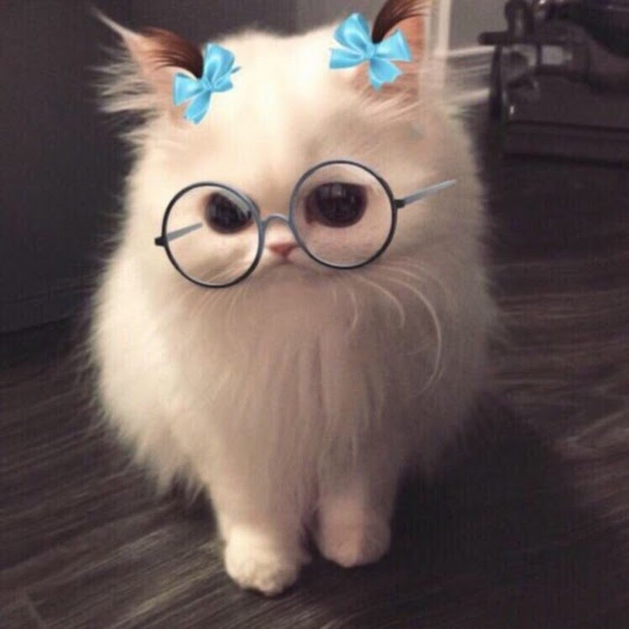 Милые пушистики