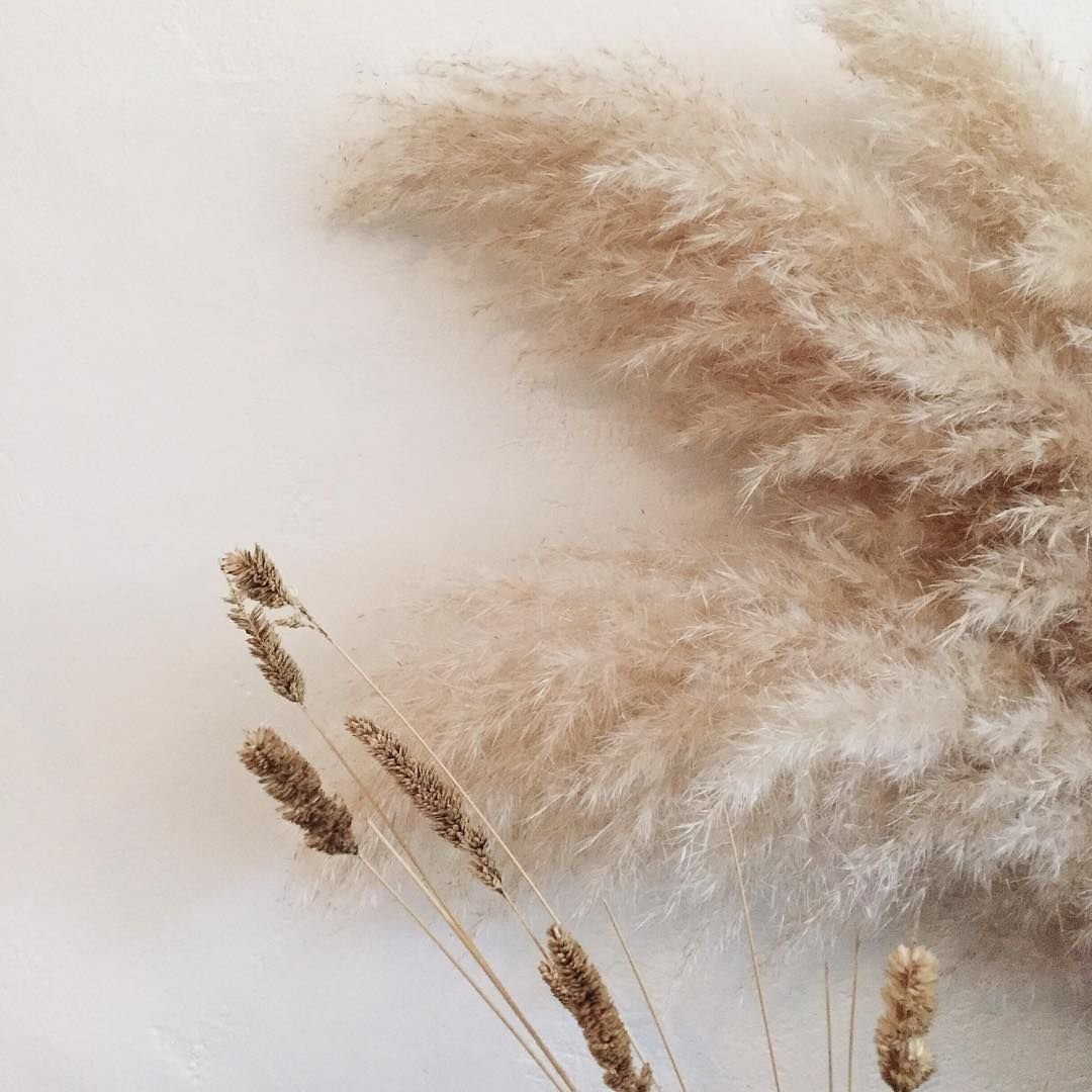 Пушистики картинки