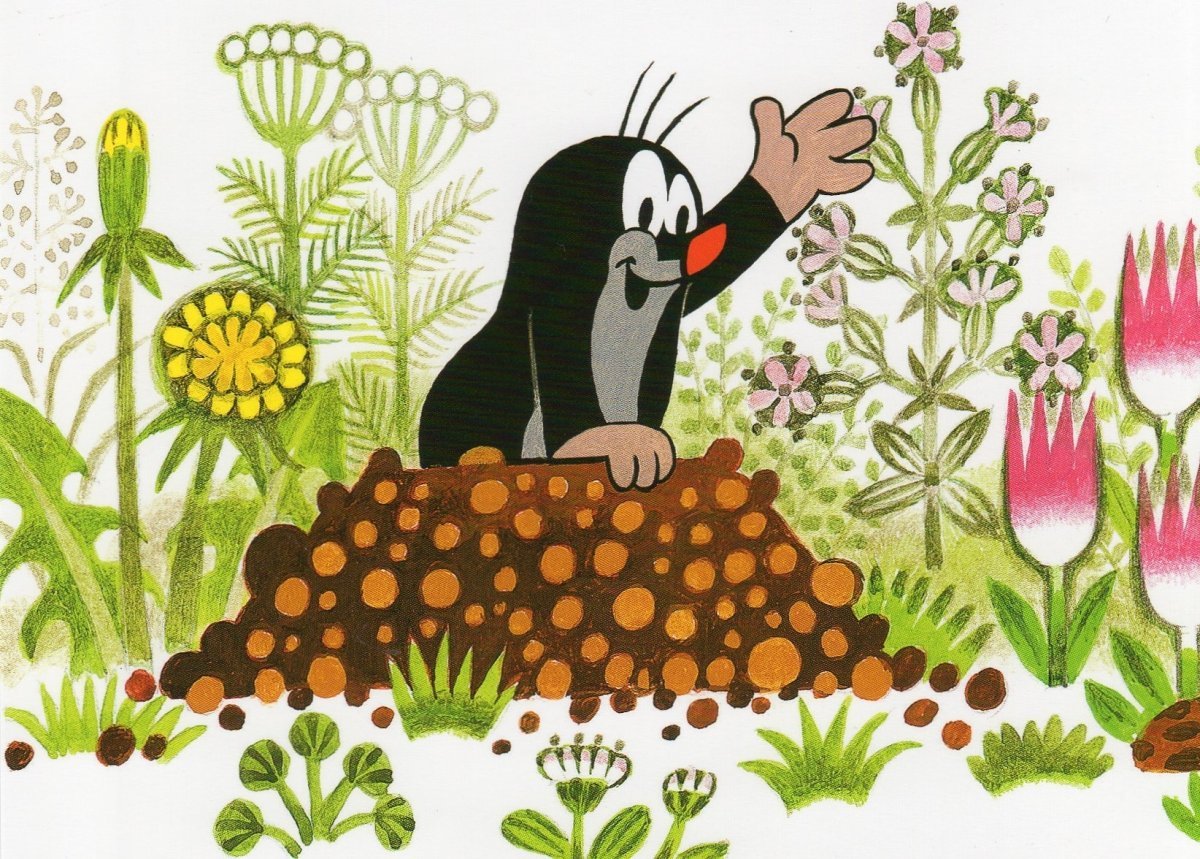 Крот с тупой мордочкой