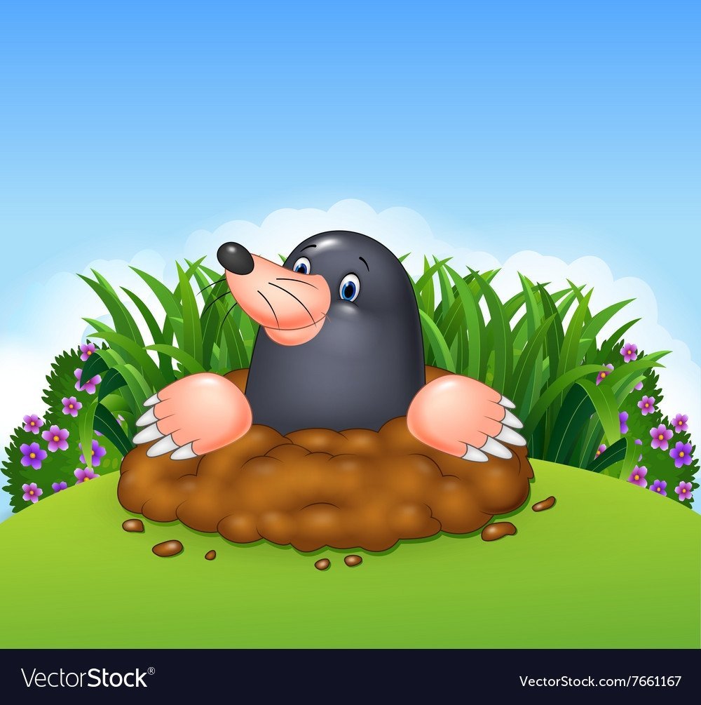 Крот для детей